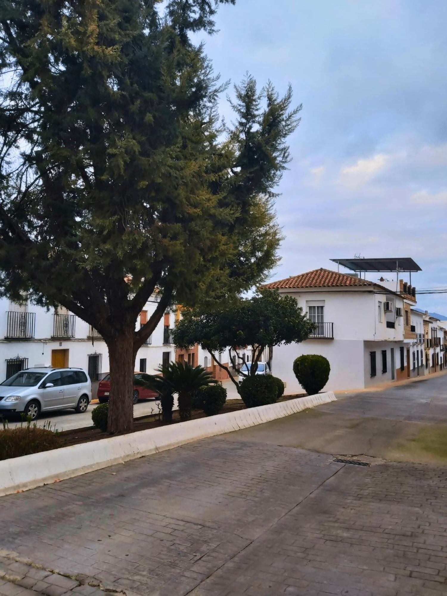 Arcadia Centro De Andalucia Villa Encinas Reales Buitenkant foto